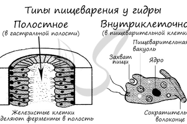 Украли аккаунт на кракене что делать