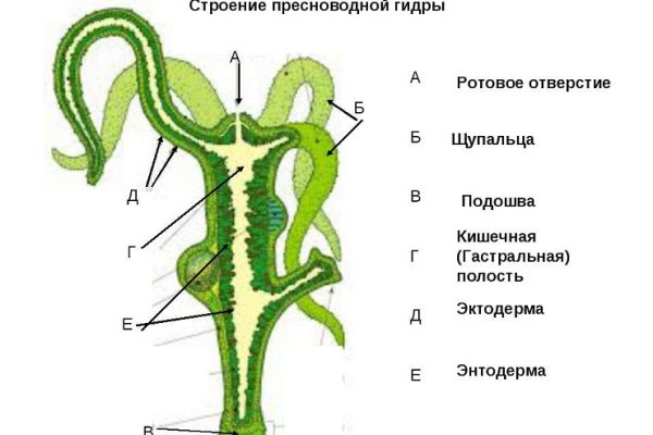 Кракен войти сегодня